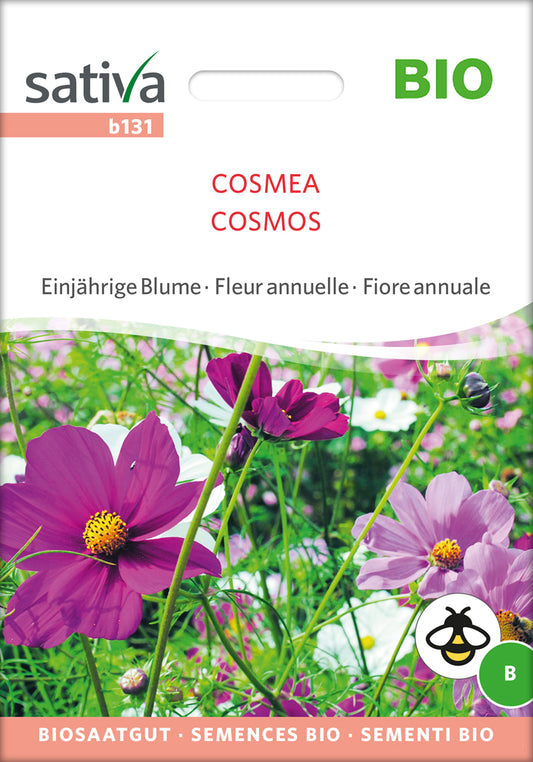  BIO Cosmea [MHD 12/2025]