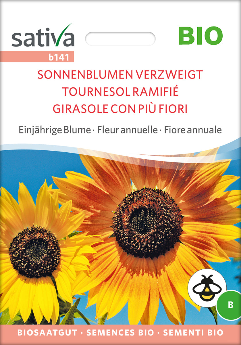  BIO Sonnenblume Verzweigt [MHD 12/2025]