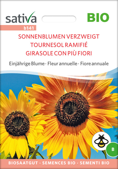  BIO Sonnenblume Verzweigt [MHD 12/2025]