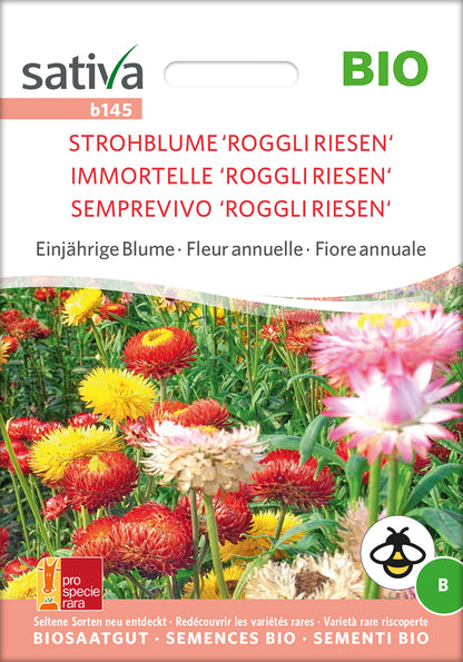  BIO Strohblume Roggli Riesen [MHD 12/2025]