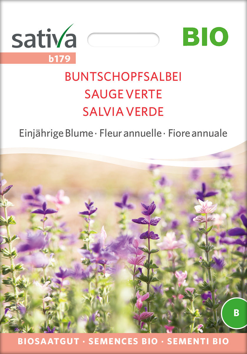  BIO Buntschopfsalbei [MHD 12/2025]