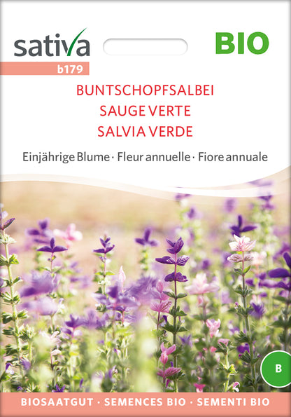  BIO Buntschopfsalbei [MHD 12/2025]