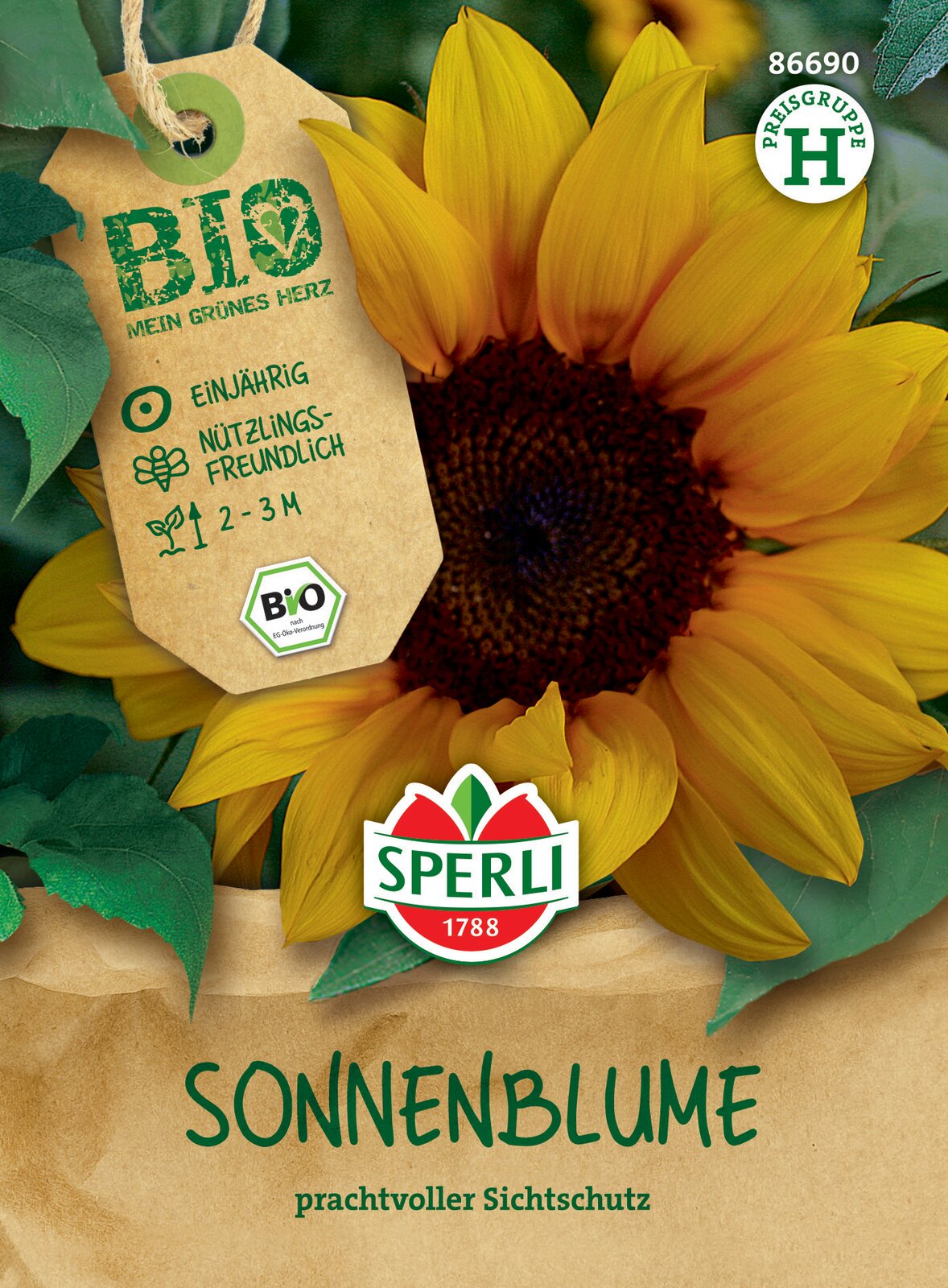  Bio-Sonnenblume