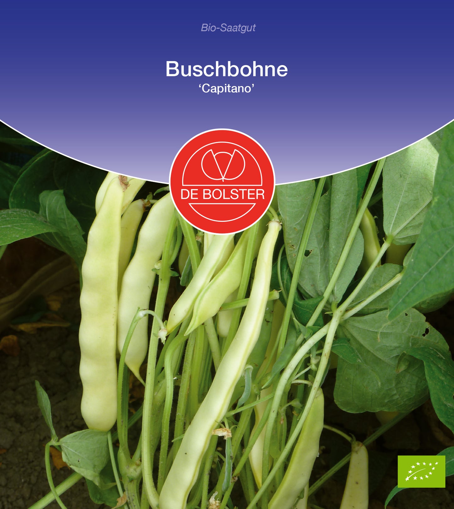  BIO Buschbohne Capitano [MHD 12/2025]