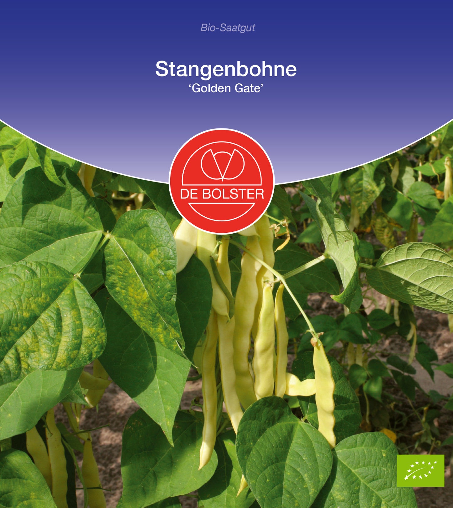  BIO Stangenbohne Golden Gate [MHD 12/2023]