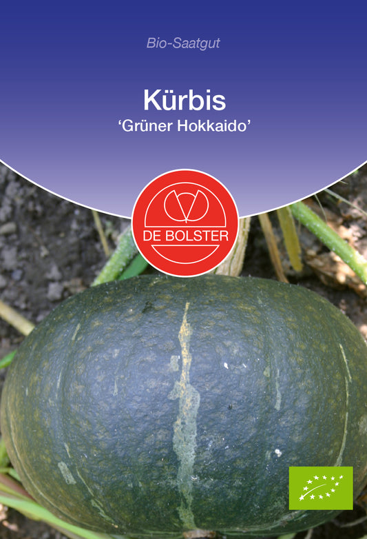  BIO Kürbis Grüner Hokkaido