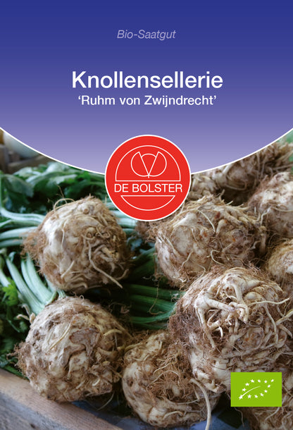  BIO Knollensellerie Ruhm Von Zwijndrecht [MHD 12/2025]