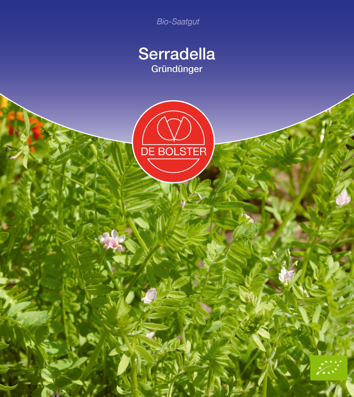  BIO Seradella Gründünger [MHD 12/2025]