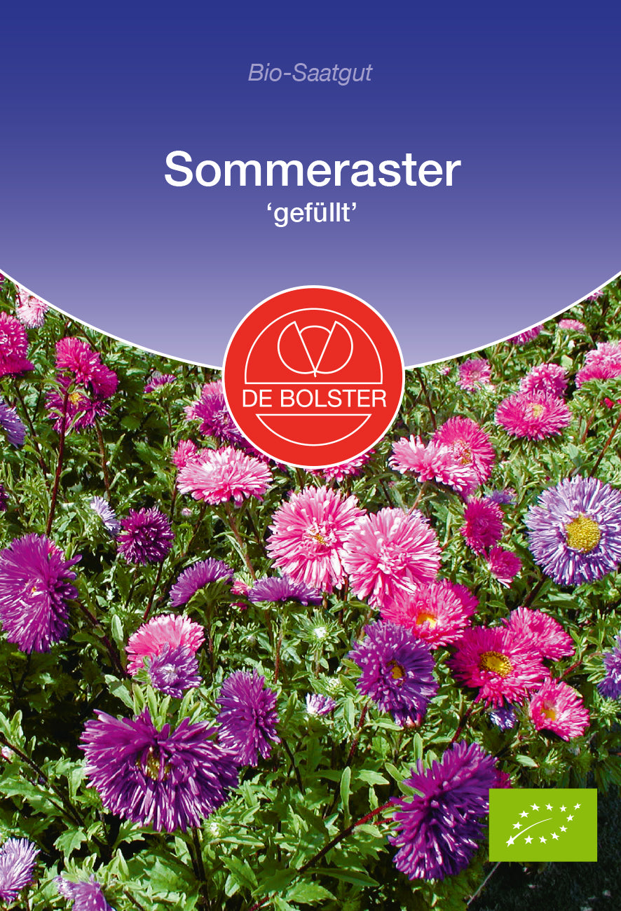  BIO Sommeraster Gefüllt [MHD 12/2025]