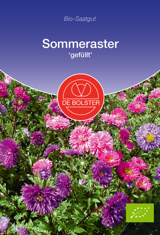  BIO Sommeraster Gefüllt [MHD 12/2025]