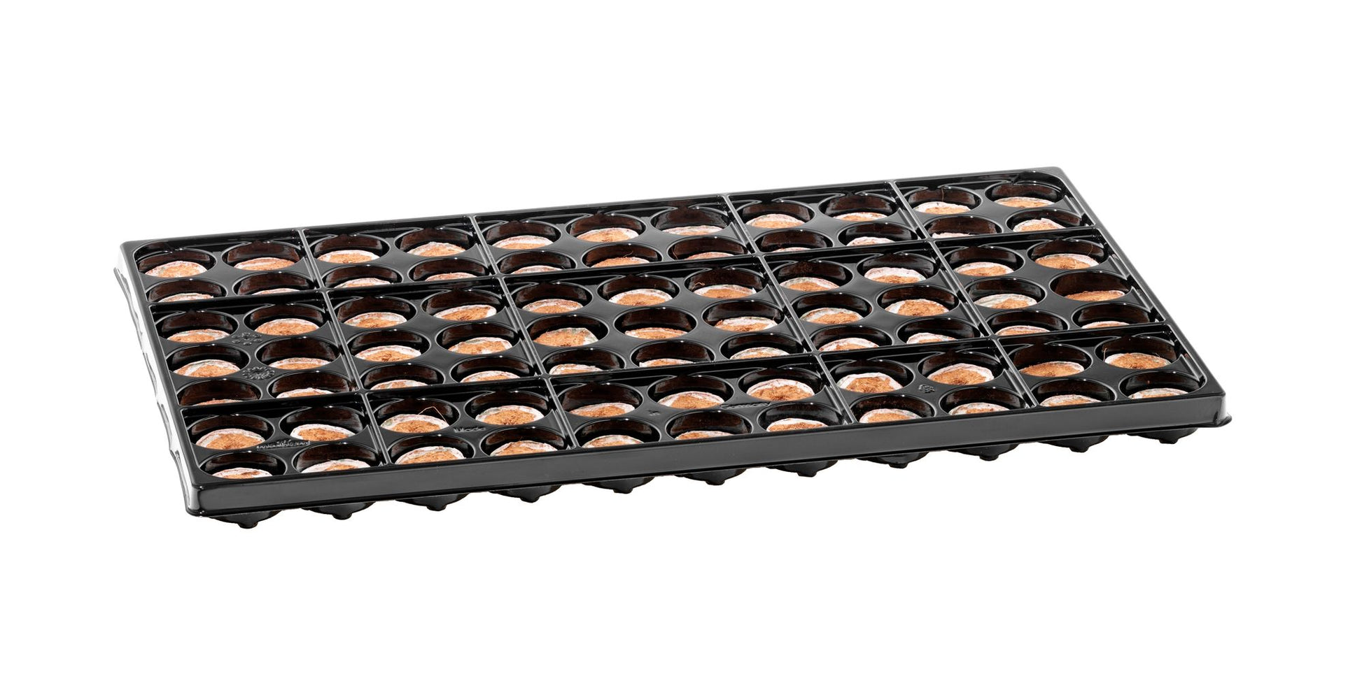  36 Mm Kokos-Quelltabletten Tray Coco Plug (77 Stück)