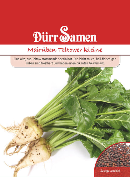  Mairübe Kleine Teltower