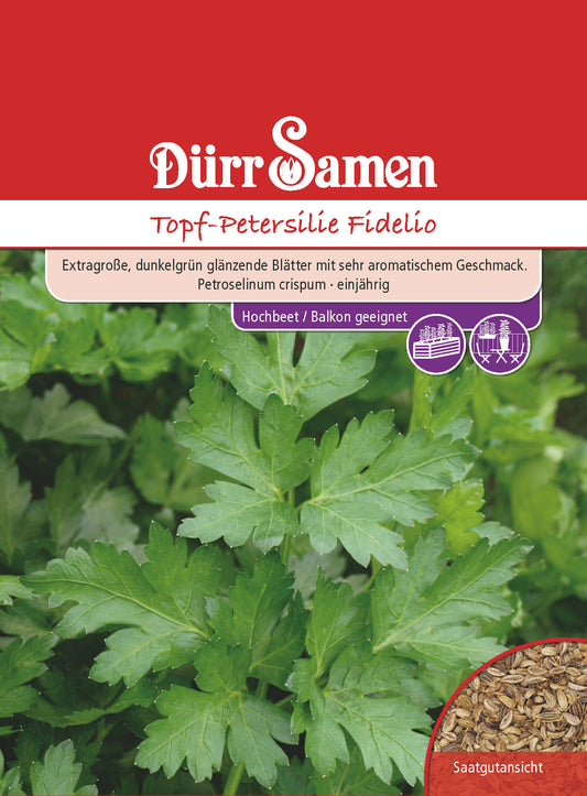  Topfpetersilie Fidelio