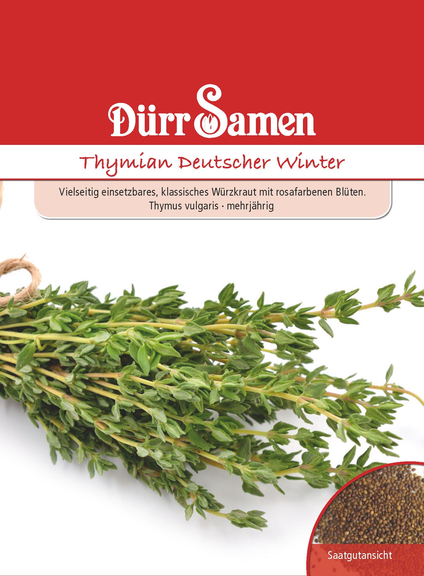  Thymian Deutscher Winter