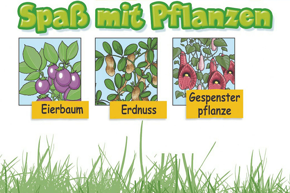  Anzuchtset Spaß Mit Pflanzen-Klein