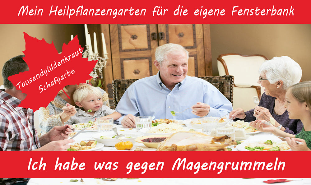  Anzuchtset Ich Habe Was Gegen Magengrummeln