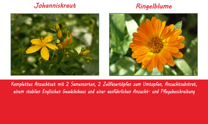  Anzuchtset Ich Nehme Mir Zeit Für Mich