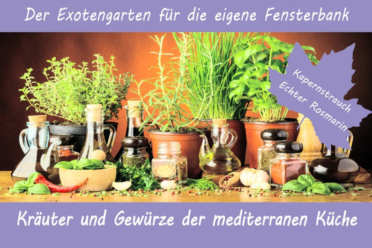  Anzuchtset Kräuter Und Gewürze Der Mediterranen Küche