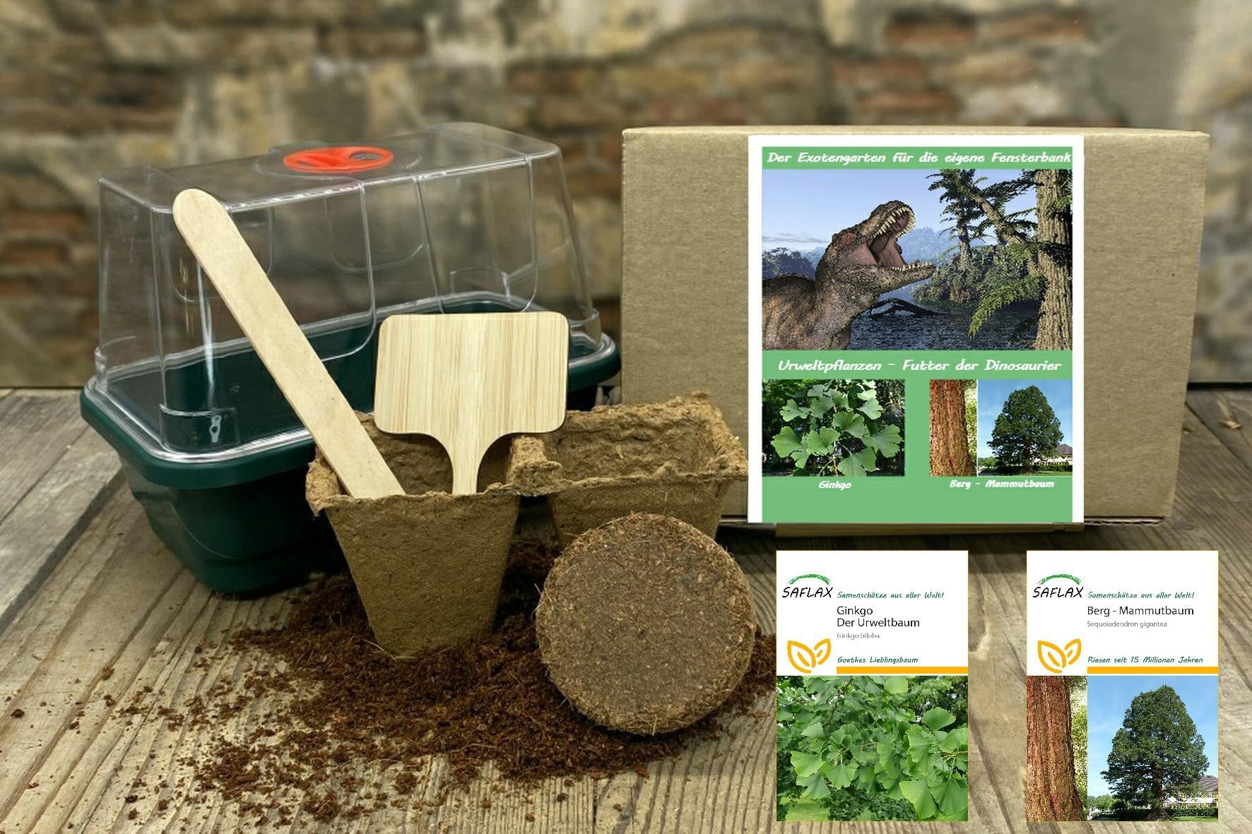  Anzuchtset Urweltpflanzen-Futter Der Dinosaurier