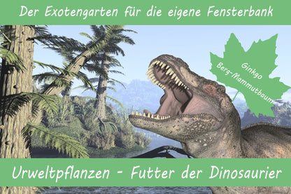  Anzuchtset Urweltpflanzen-Futter Der Dinosaurier