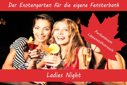 Anzuchtset Ladies Night