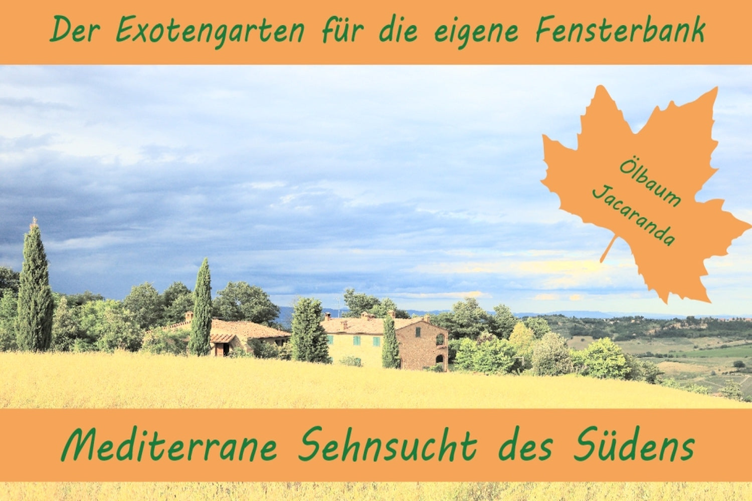  Anzuchtset Mediterrane Sehnsucht Des Südens