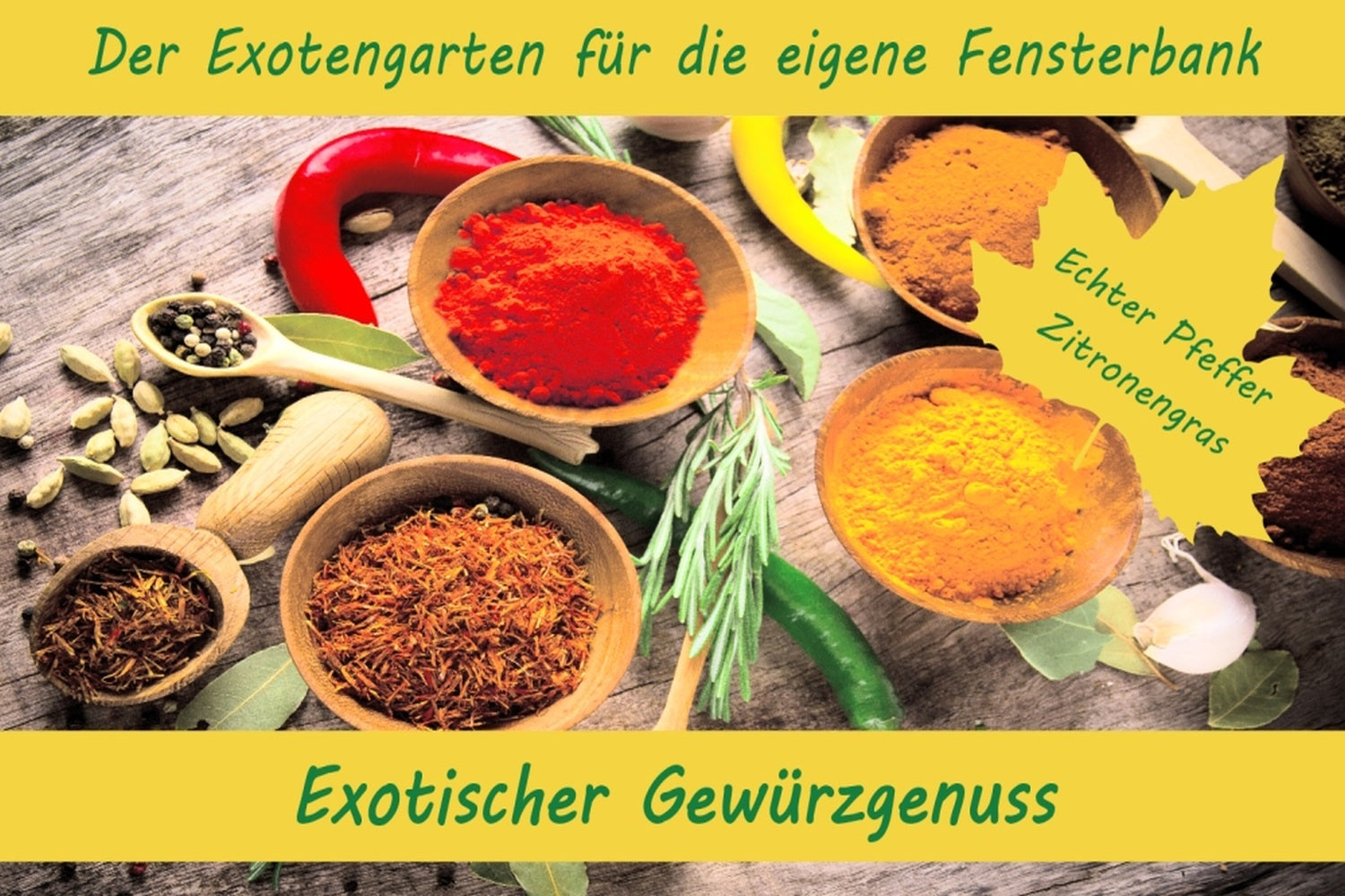  Anzuchtset-Exotischer Gewürzgenuss