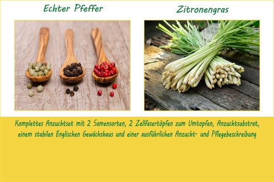  Anzuchtset-Exotischer Gewürzgenuss