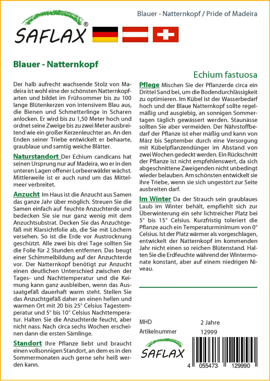  Blauer Natternkopf