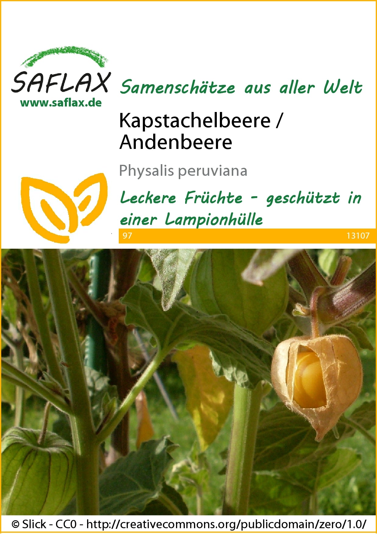  Kapstachelbeere / Andenbeere