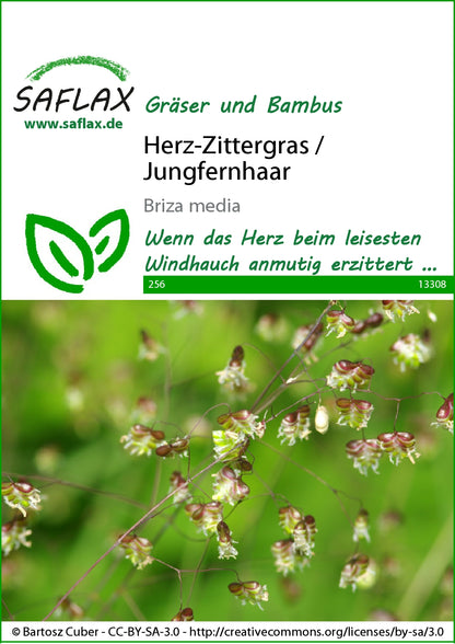  Herz-Zittergras / Jungfernhaar