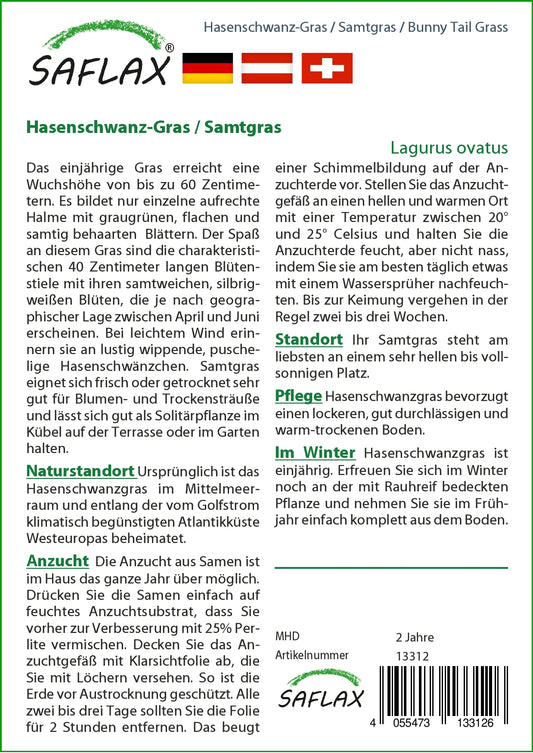  Hasenschwanz-Gras (Samtgras)
