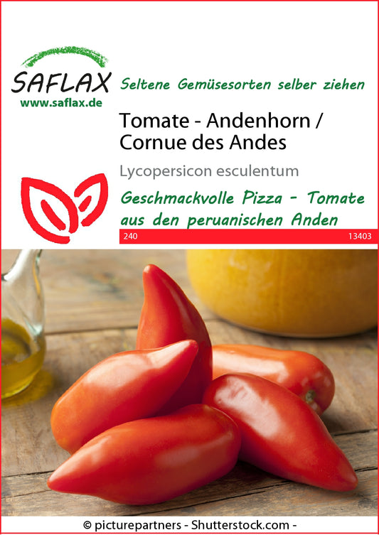  Tomate Andenhorn / Cornue Des Andes