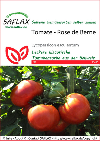  Tomate Rose De Berne