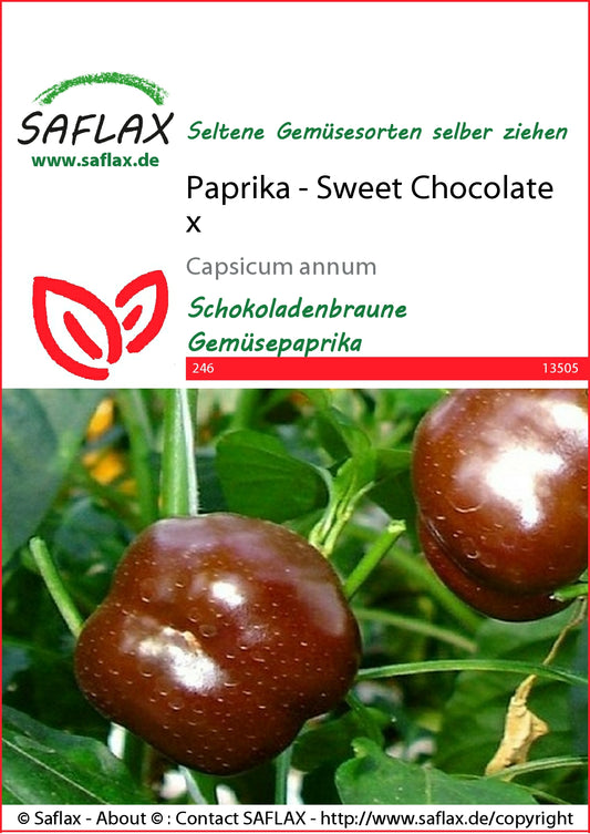  Paprika Sweet Chocolate X