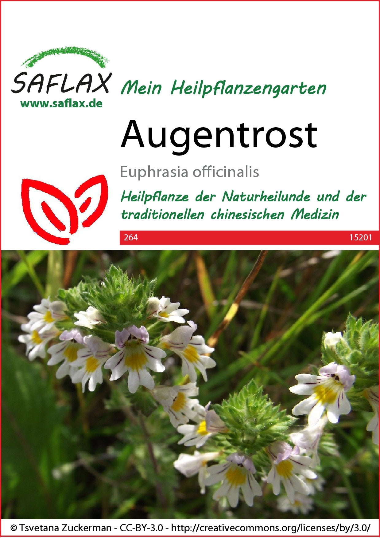  Augentrost