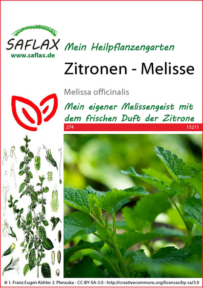  Zitronenmelisse [MHD 12/2025]