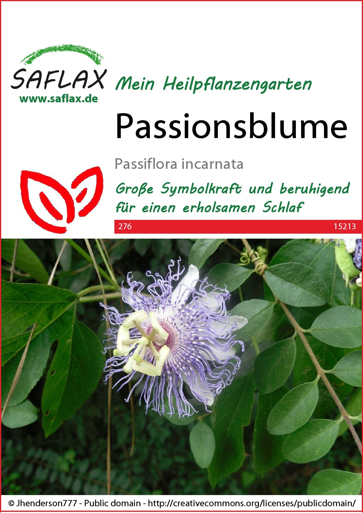  Passionsblume