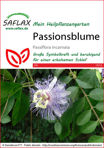  Passionsblume