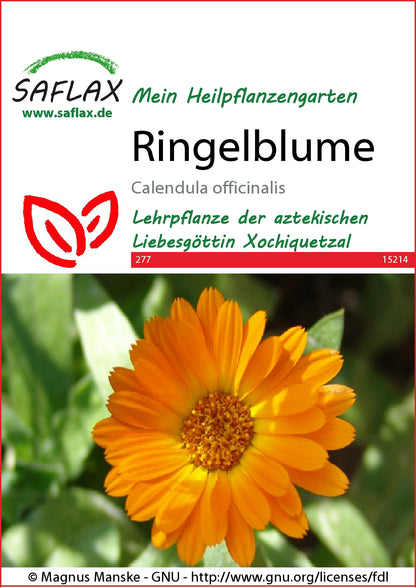 Ringelblume