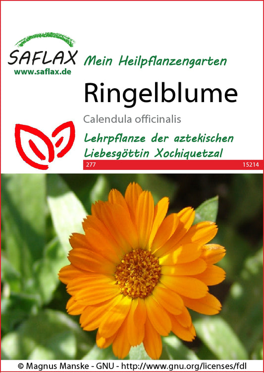  Ringelblume