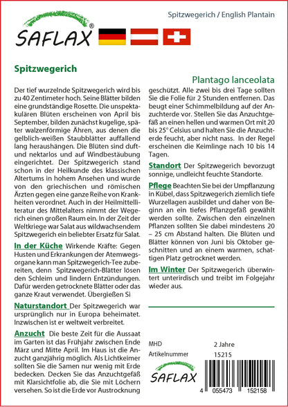  Spitzwegerich