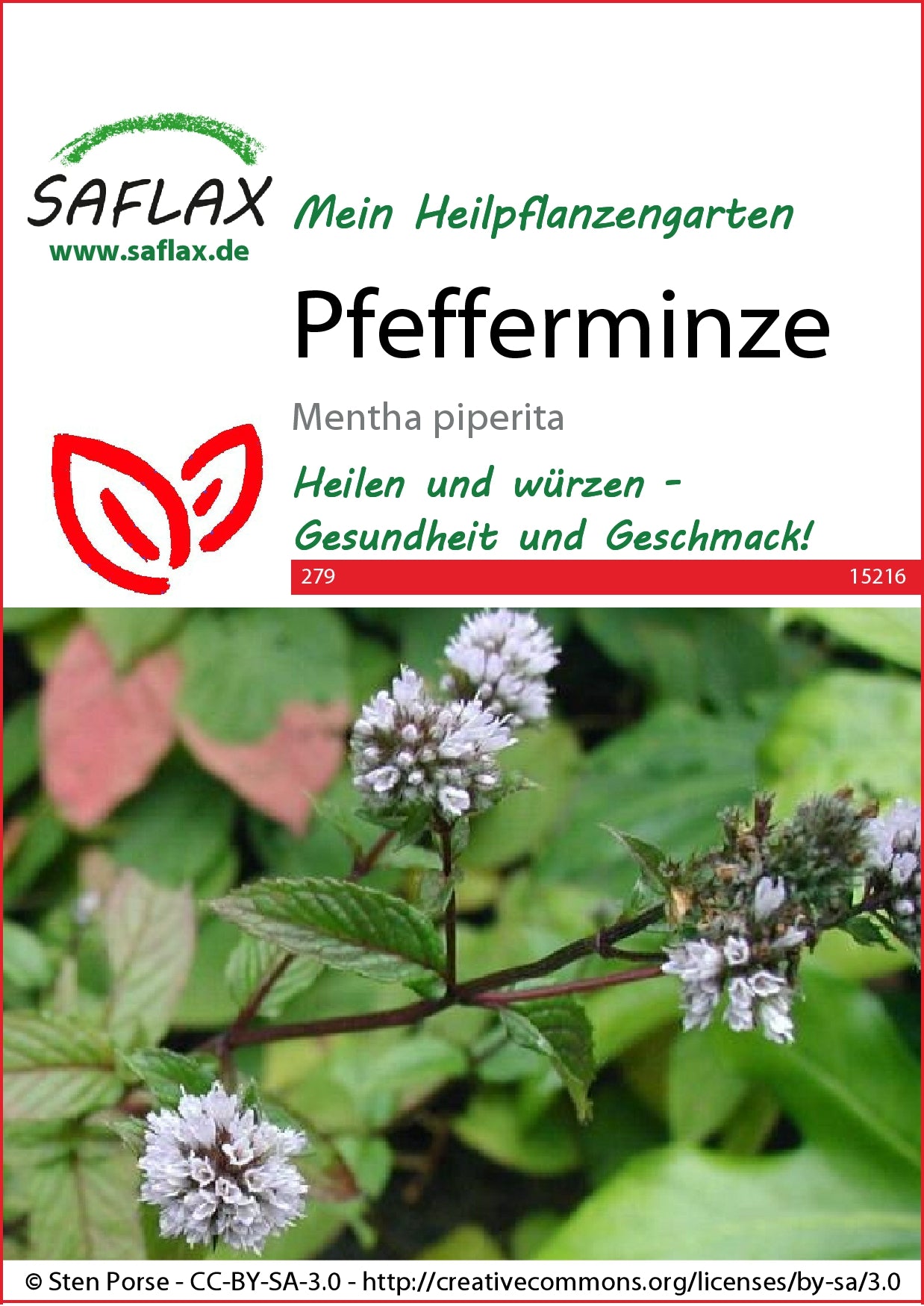  Pfefferminze [MHD 11/2025]