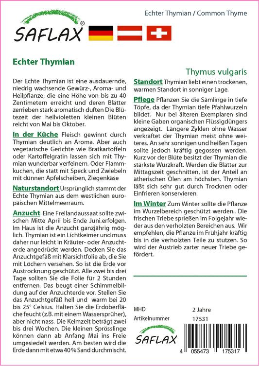  Echter Thymian
