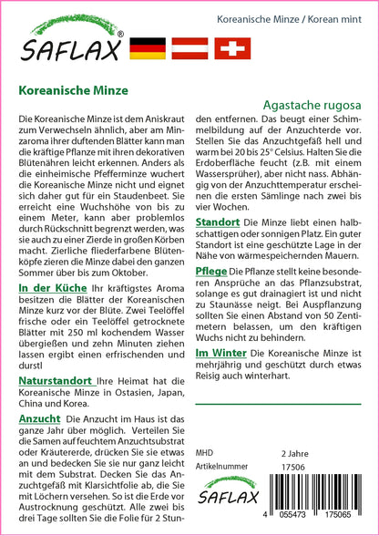  Koreanische Minze