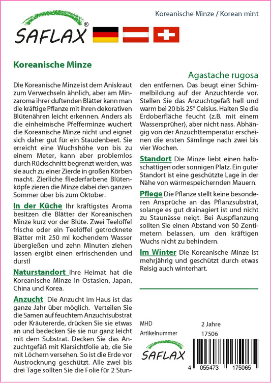  Koreanische Minze