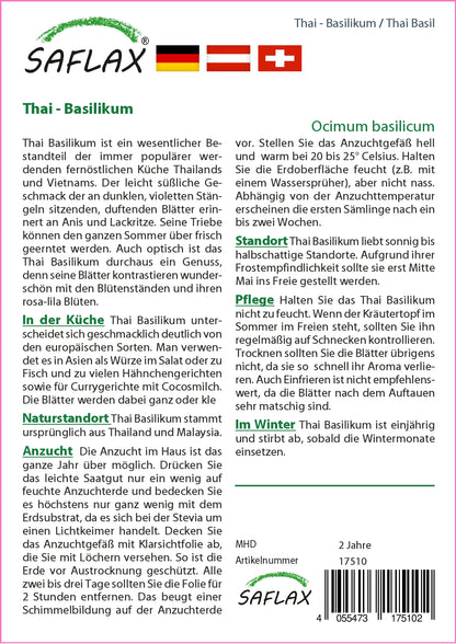  Thai-Basilikum