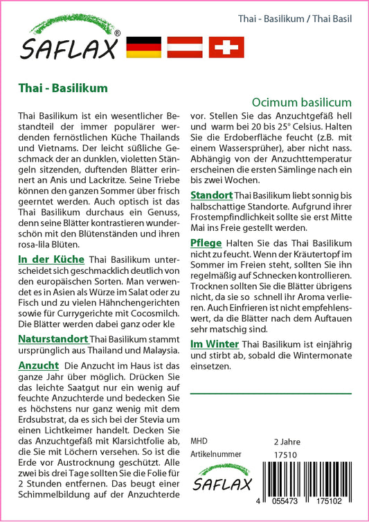  Thai-Basilikum
