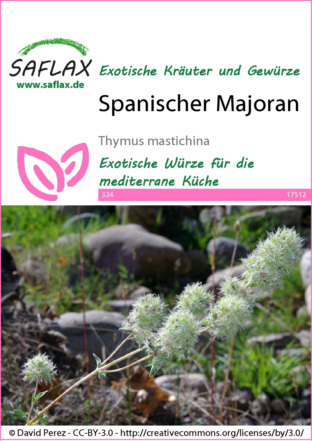  Spanischer Majoran
