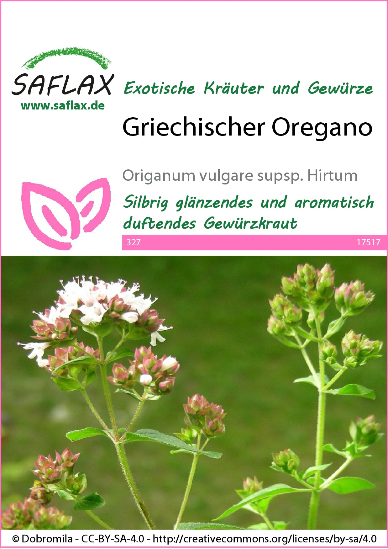  Griechischer Oregano
